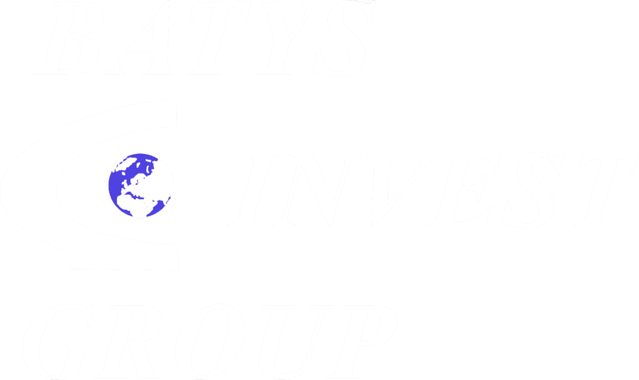 ТОО Batys Invest Group